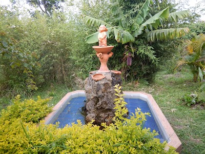 Photos of Finca La Circasia