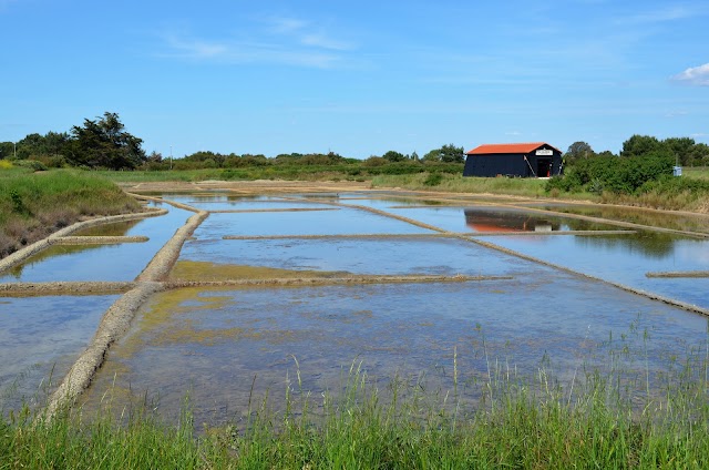 Le Port des Salines