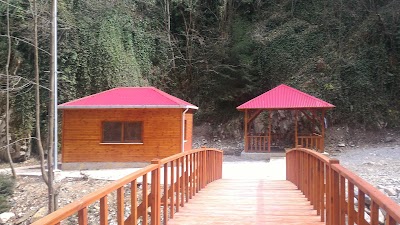 Photos of Spider Forest and Nature Conservation Areas
