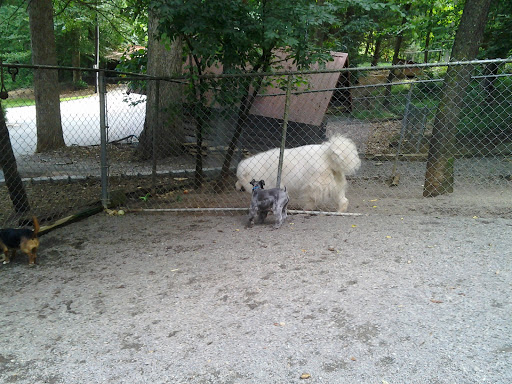 Deep Creek Kennel Gallery - United States