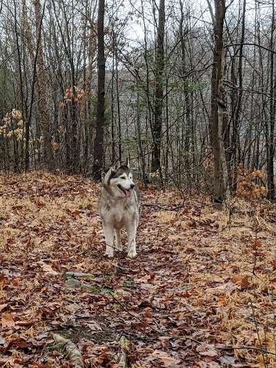 Smith Lake Park