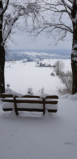 Heimatblick - Thumbnail