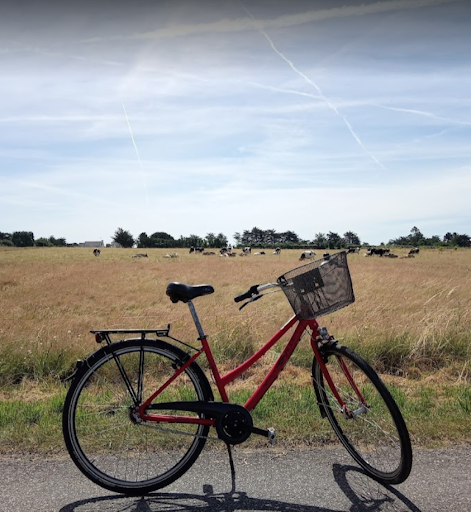 Veloc'Ouest by Maison de la Garenne - Livraison de vélos à VANNES