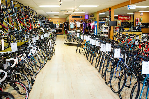 Full Circle Cycle - Visual