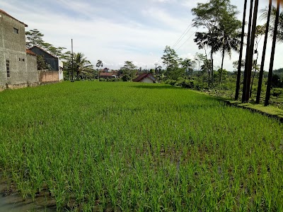 Photos of Angkringan Mbah Jenggot