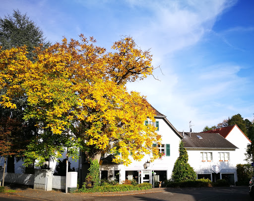 WohnWerte Thorsten Geyermann