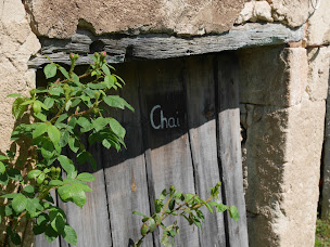 Photo n°6 de Puy Sauvage à Carsac-de-Gurson (Vignoble)