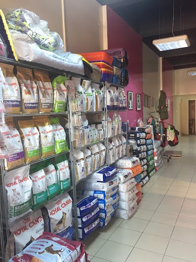 Photos of Little Paws Veterinary Clinic