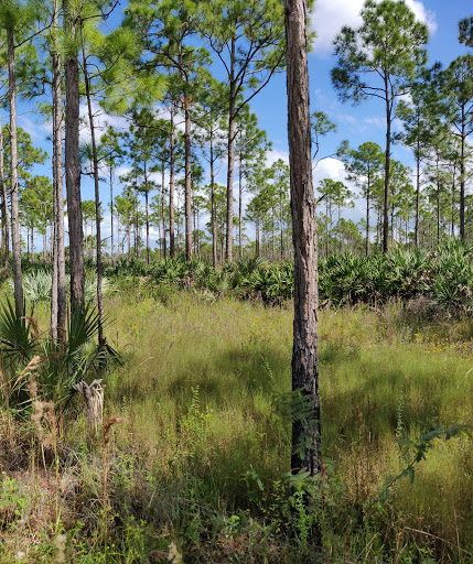 Cypress Creek Natural Area - Thumbnail