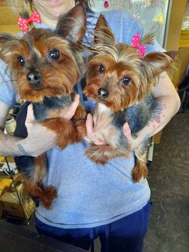 POCKETS ITY BITY PET GROOMING & BEYOND LLC - Thumbnail