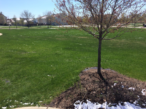 Sedgebrook Park - Visual