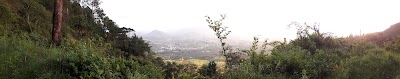 Photos of Sunbird Ku Chawe