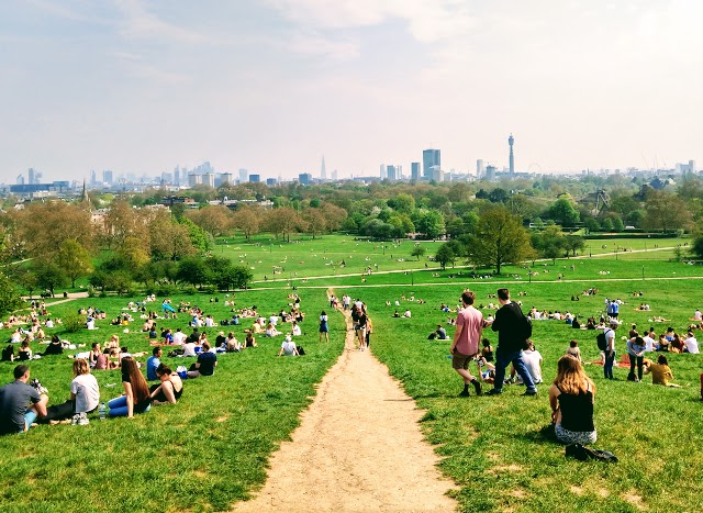 Primrose Hill