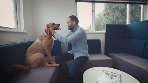Airpets - Visual