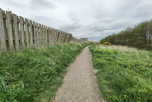 St. Cyrus National Nature Reserve (car park & visitor centre) - Thumbnail