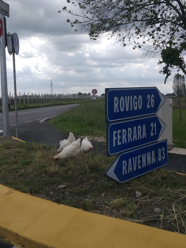 Formignana - Thumbnail