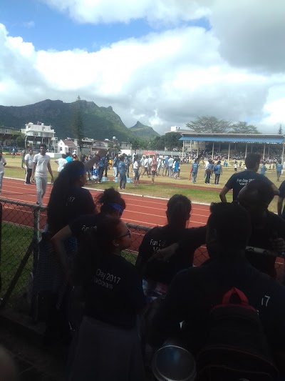 stadium