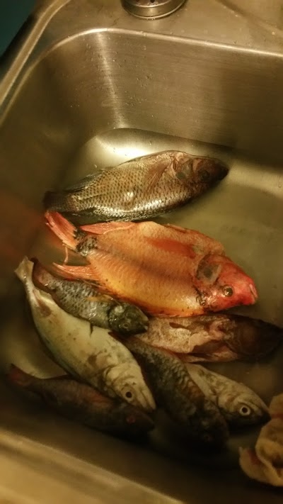 Photos of Redstep Seafood Bar & Grill