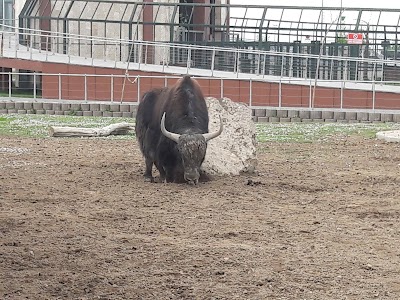 Photos of Anadolu Harikalar Diyarı