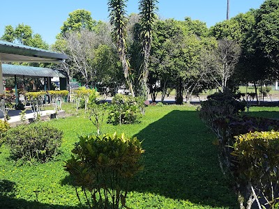 Photos of CCDC