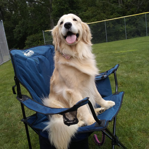 Bath Baseball Park - Visual