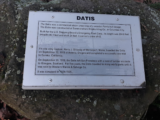 Datis Park - Visual