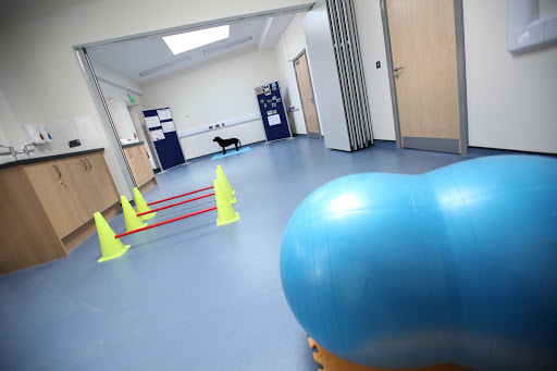 Veterinary Services Centre - Visual