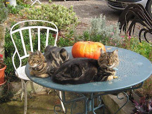 Photo n°28 de Chambres et table d'hôtes 