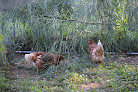 photo de Chez Caro à Samatan