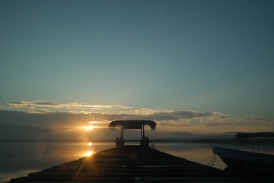 Photos of Los Olingos
