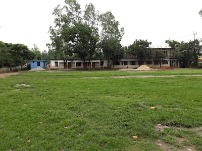 school