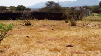 Photos of Predators Rock Bush Lodge