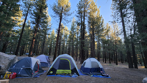 Pine Glen Group Campground Gallery - United States