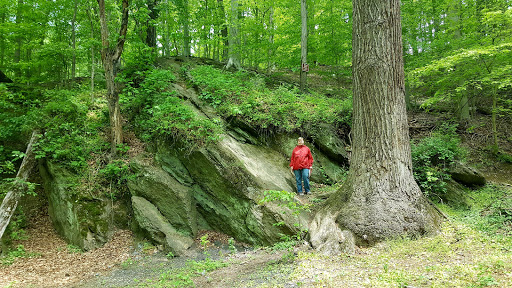 Lake Roland Park - Blue Trailhead - Thumbnail