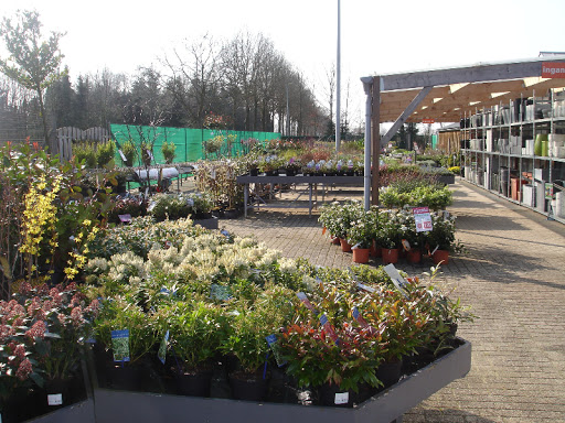 Tuincentrum Miranda Grutters