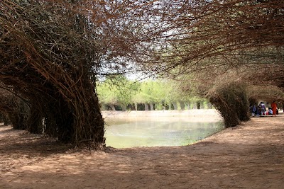 Photos of ឧទ្យាន វេឡុវ័ន