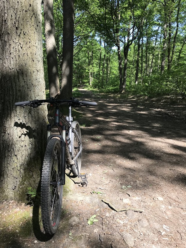 Forêt Domaniale de Verrières
