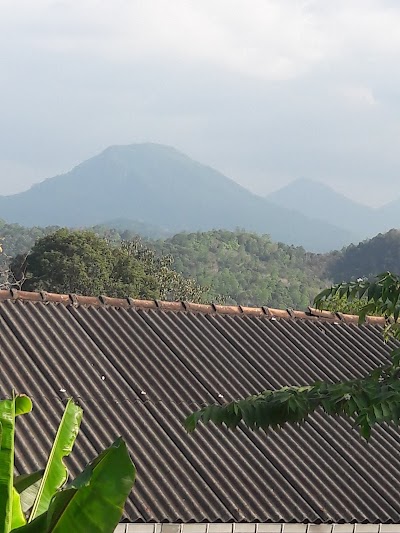 stadium