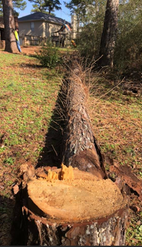 Church's Tree Service