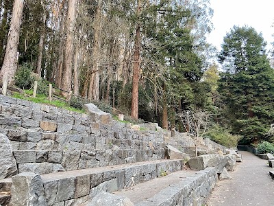 Stern Grove Concert Meadow