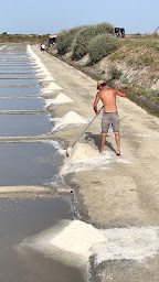 Photo n°35 de Rivesaline - Marais Salant - Boutique de Producteur à La Couarde-sur-Mer (Agriculteur)
