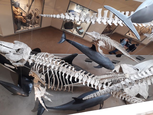 Aquarium de Biarritz