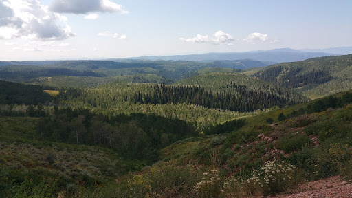 Cache National Forest - Visual