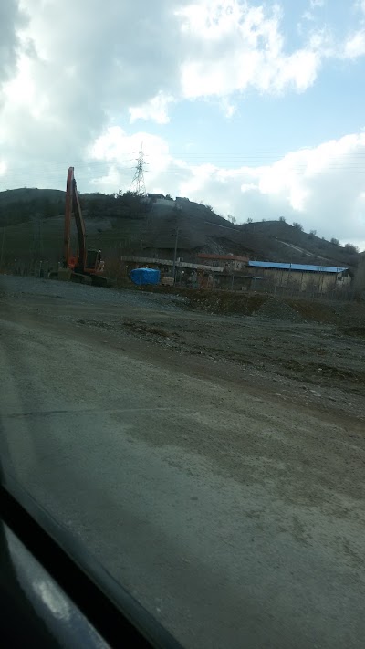 Photos of باخجه ى به كره ريشه