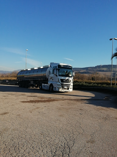 Esso Orte - Visual