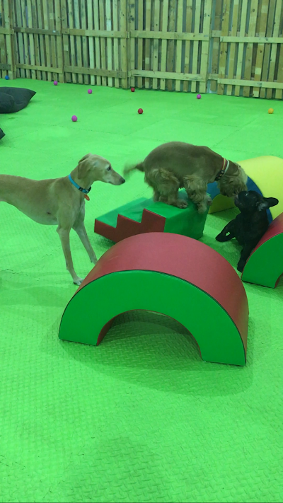 Photos of Daphne's Play Centre
