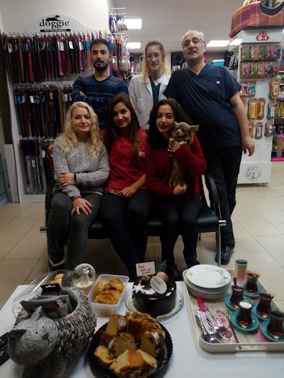 pet-store