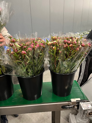 Scheperswijk Bloemen - Thumbnail