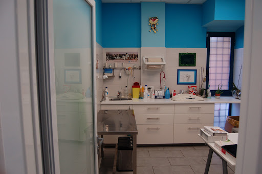 Clinica Veterinaria Frascati - Thumbnail
