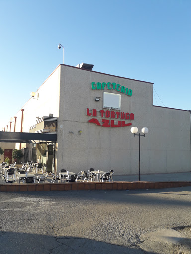 Blue Turtle Cafe - Visual